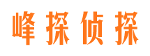 贾汪侦探公司